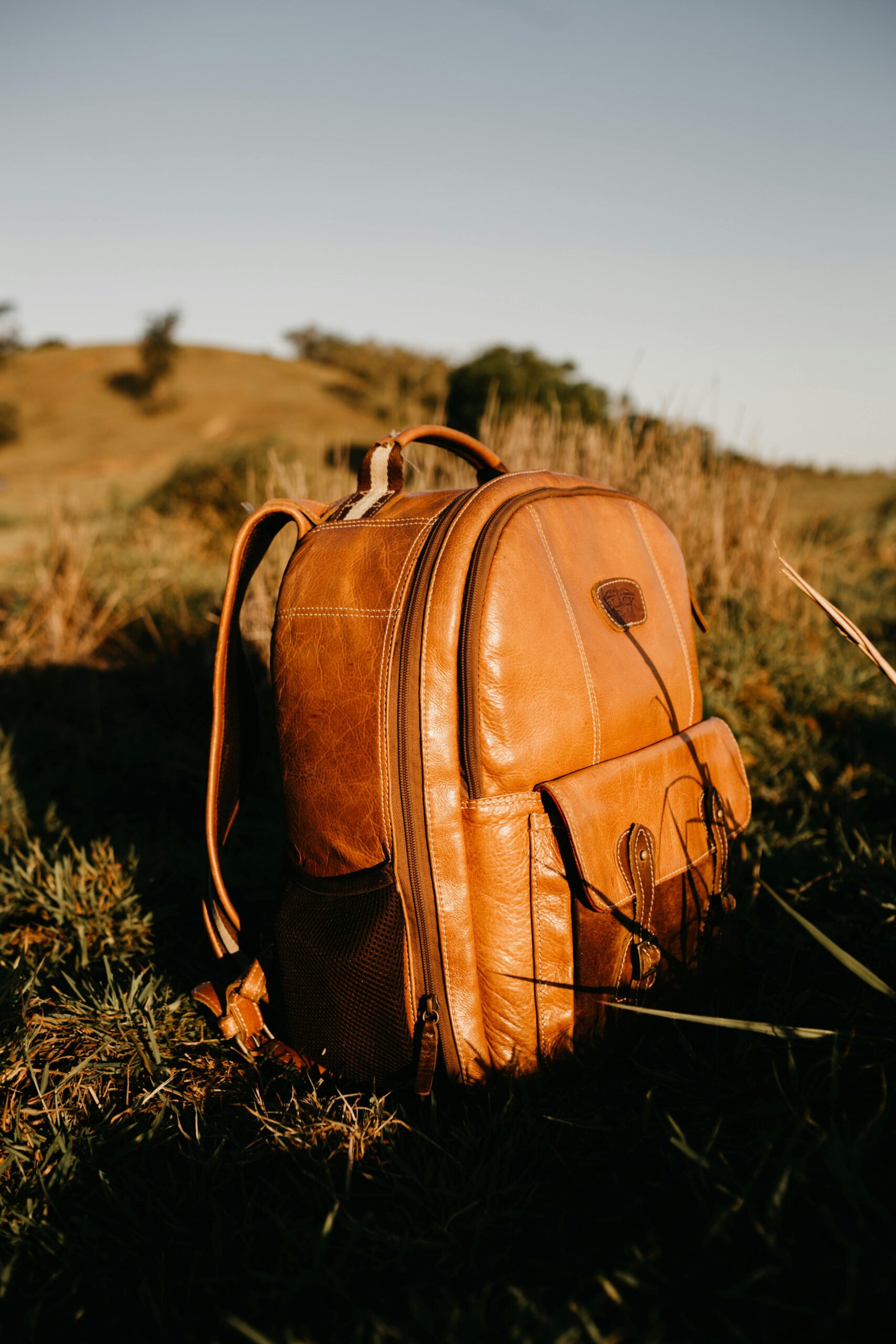 Brown leather backpack on grassy field in bright daylight, evoking travel and adventure.
